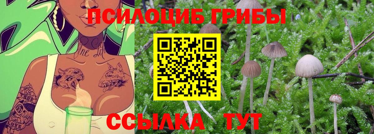 Нижний Тагил  Галлюциногенные грибы Psilocybine cubensis  Псилоцибиновые грибы GOLDEN TEACHER  Вход с VPN 