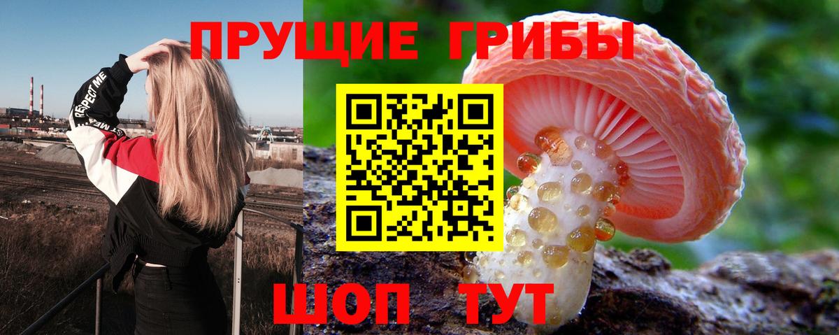 Галлюциногенные грибы Cubensis Нижний Тагил